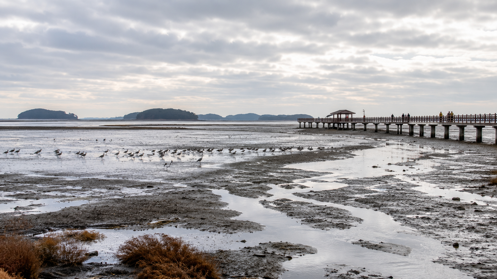 A broad Korean tidal flat at low tide with migratory shorebirds and a raised observation path