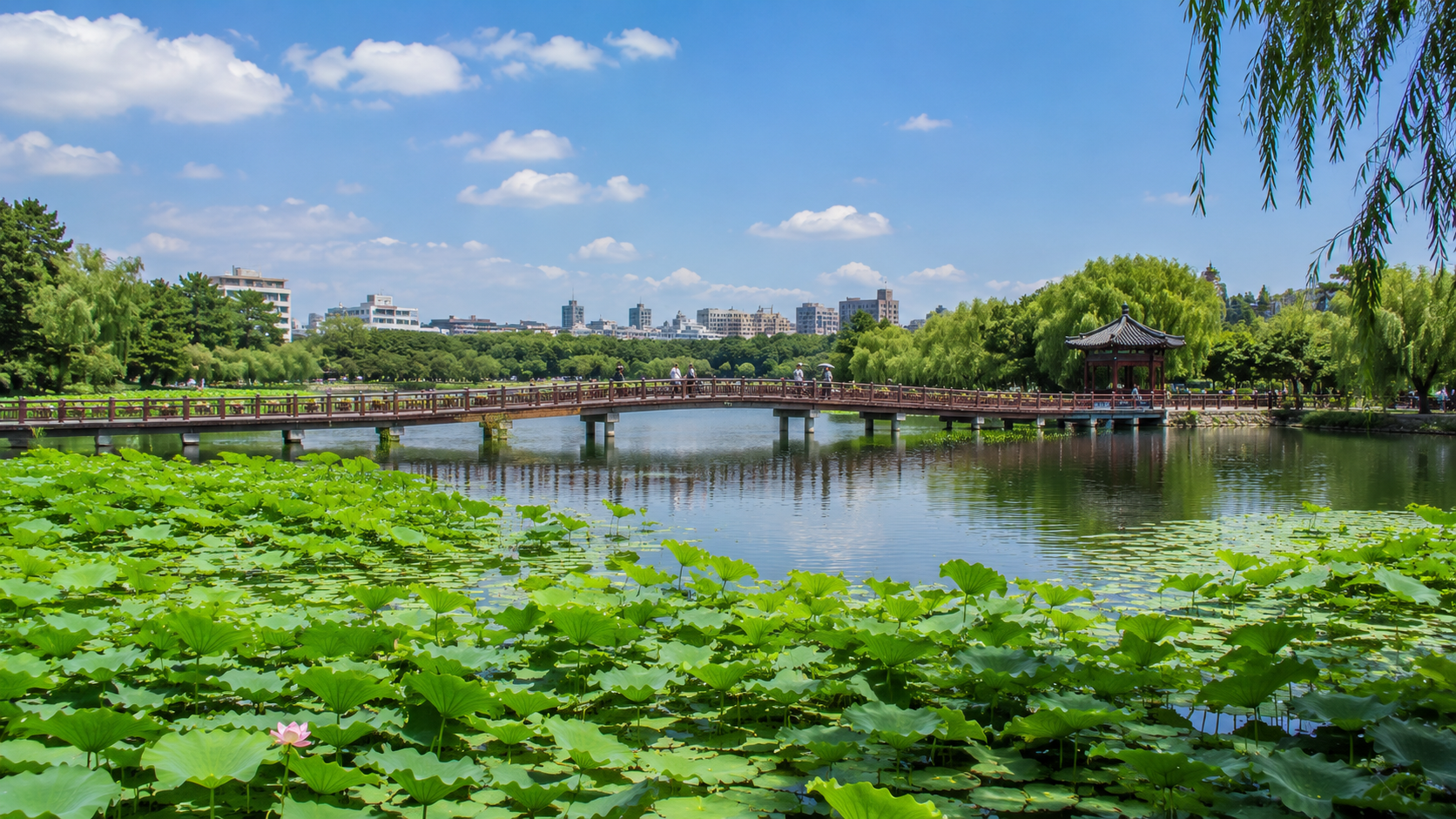 Deokjin Park’s pond with lotus leaves and its pedestrian bridge in Jeonju